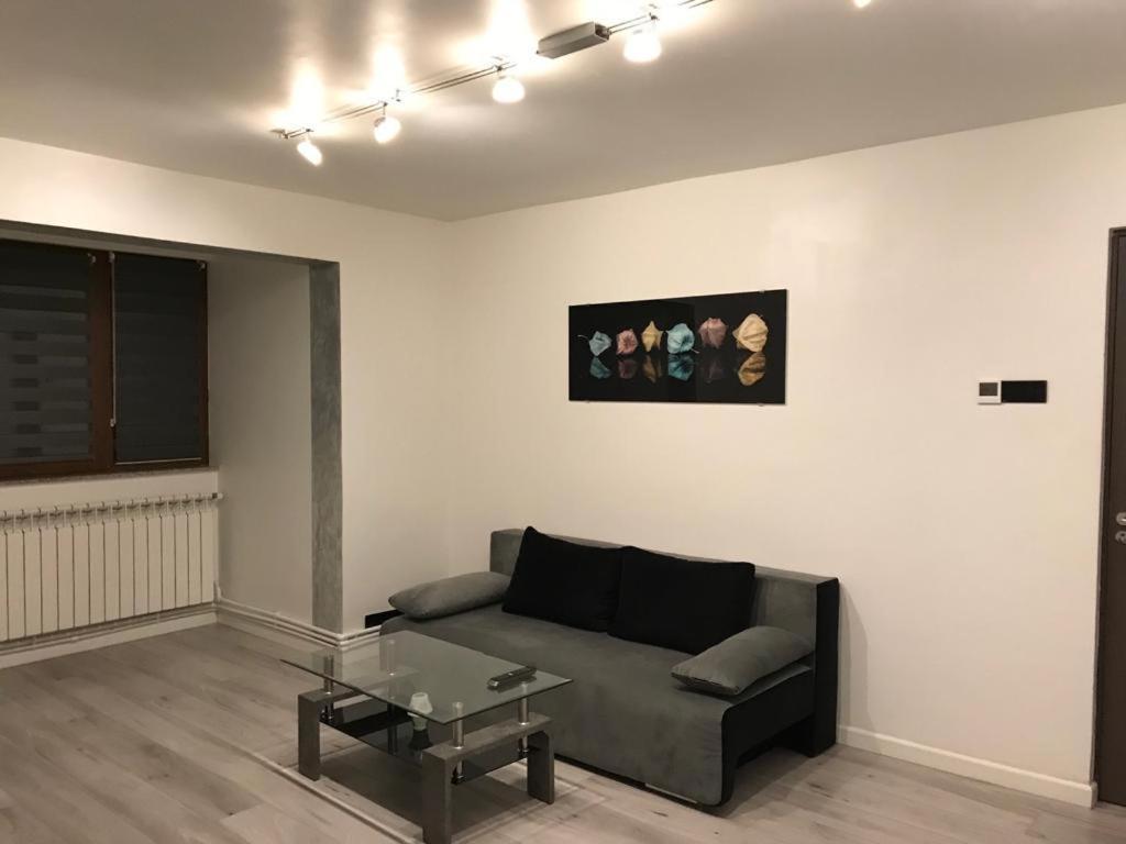 White&Silver Luxury Suite 3 Camere Craiova Exterior foto